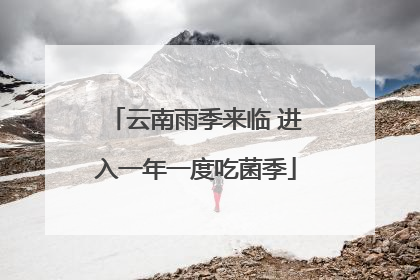 云南雨季来临 进入一年一度吃菌季