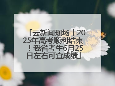 云新闻现场丨2025年高考顺利结束！我省考生6月25日左右可查成绩