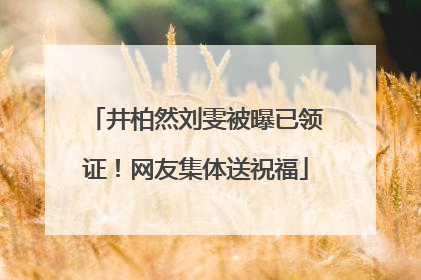 井柏然刘雯被曝已领证！网友集体送祝福