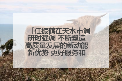 任振鹤在天水市调研时强调 不断塑造高质量发展的新动能新优势 更好服务和融入以国内大循环为主体的新发展格局