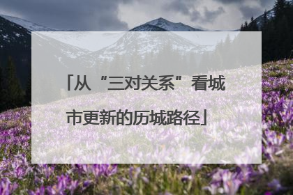 从“三对关系”看城市更新的历城路径