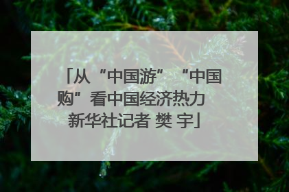 从“中国游”“中国购”看中国经济热力 新华社记者 樊 宇