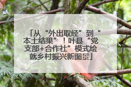 从“外出取经”到“本土结果”！叶县“党支部+合作社”模式绘就乡村振兴新图景