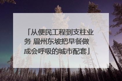 从便民工程到支柱业务 眉州东坡把早餐做成会呼吸的城市配套