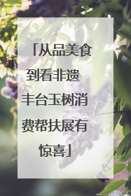 从品美食到看非遗 丰台玉树消费帮扶展有惊喜