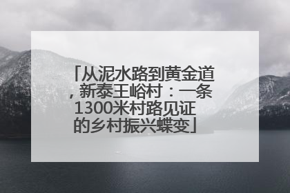从泥水路到黄金道，新泰王峪村：一条1300米村路见证的乡村振兴蝶变