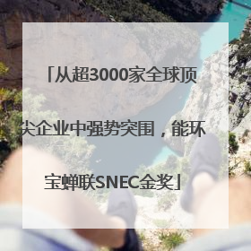 从超3000家全球顶尖企业中强势突围，能环宝蝉联SNEC金奖