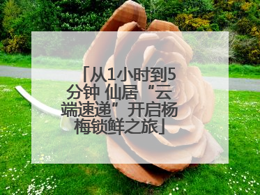 从1小时到5分钟 仙居“云端速递”开启杨梅锁鲜之旅