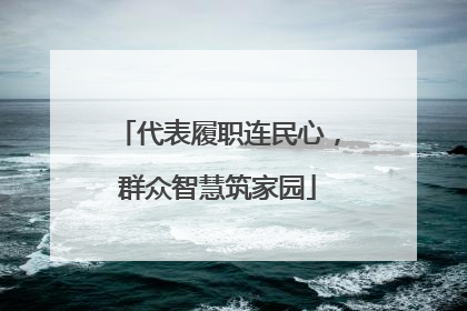 代表履职连民心，群众智慧筑家园