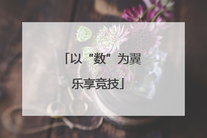 以“数”为翼 乐享竞技