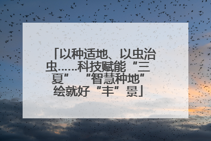 以种适地、以虫治虫……科技赋能“三夏” “智慧种地”绘就好“丰”景