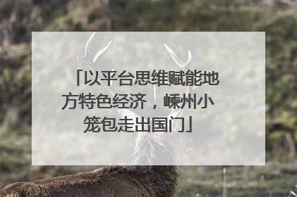 以平台思维赋能地方特色经济，嵊州小笼包走出国门