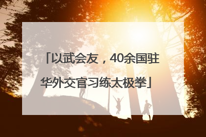 以武会友，40余国驻华外交官习练太极拳