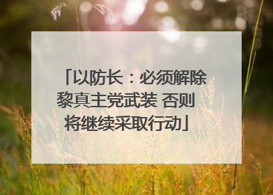 以防长：必须解除黎真主党武装 否则将继续采取行动