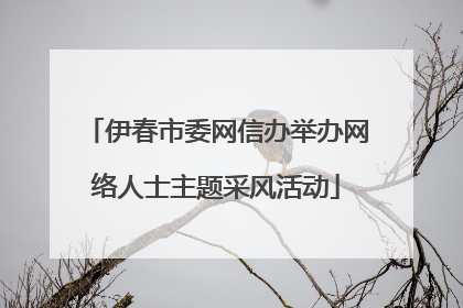 伊春市委网信办举办网络人士主题采风活动