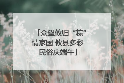 众望攸归“粽”情家国 攸县多彩民俗庆端午