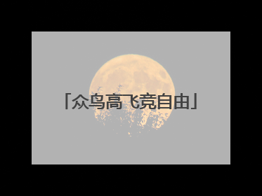 众鸟高飞竞自由