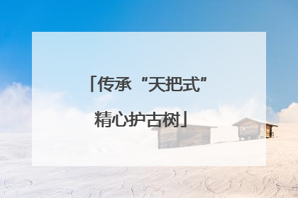 传承“天把式” 精心护古树