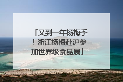 又到一年杨梅季！浙江杨梅赴沪参加世界级食品展