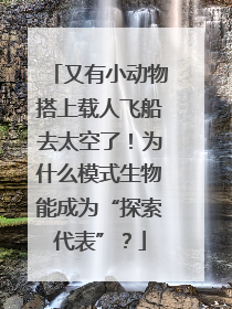 又有小动物搭上载人飞船去太空了！为什么模式生物能成为“探索代表”？