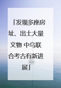 发现多座房址、出土大量文物 中乌联合考古有新进展