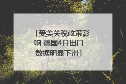 受美关税政策影响 德国4月出口数据明显下滑