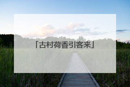 古村荷香引客来