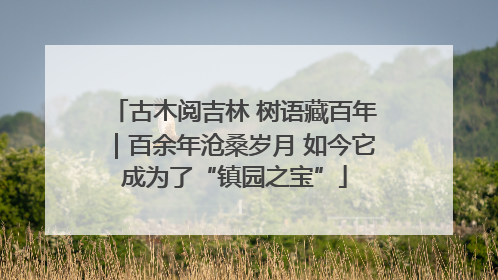 古木阅吉林 树语藏百年｜百余年沧桑岁月 如今它成为了“镇园之宝”