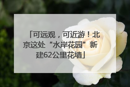 可远观，可近游！北京这处“水岸花园”新建62公里花墙