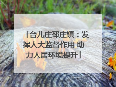 台儿庄邳庄镇：发挥人大监督作用 助力人居环境提升