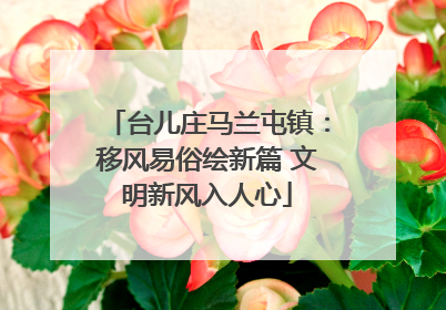台儿庄马兰屯镇：移风易俗绘新篇 文明新风入人心