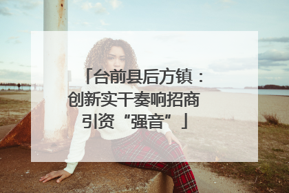 台前县后方镇：创新实干奏响招商引资“强音”
