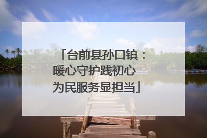 台前县孙口镇：暖心守护践初心 为民服务显担当