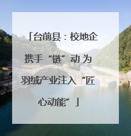 台前县：校地企携手“链”动 为羽绒产业注入“匠心动能”