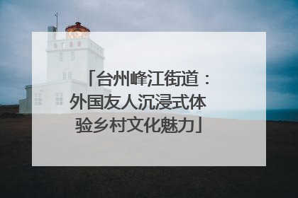 台州峰江街道：外国友人沉浸式体验乡村文化魅力