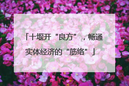 十堰开“良方”，畅通实体经济的“筋络”