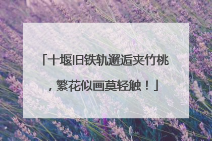 十堰旧铁轨邂逅夹竹桃，繁花似画莫轻触！