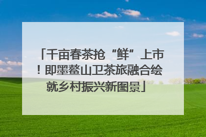 千亩春茶抢“鲜”上市！即墨鳌山卫茶旅融合绘就乡村振兴新图景