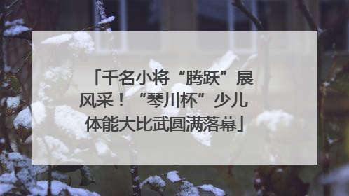 千名小将“腾跃”展风采！“琴川杯”少儿体能大比武圆满落幕
