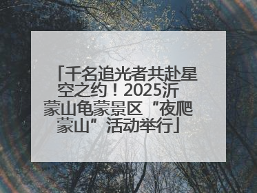 千名追光者共赴星空之约！2025沂蒙山龟蒙景区“夜爬蒙山”活动举行