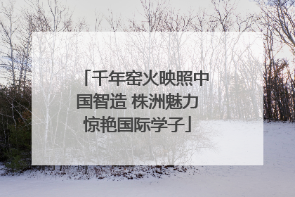 千年窑火映照中国智造 株洲魅力惊艳国际学子