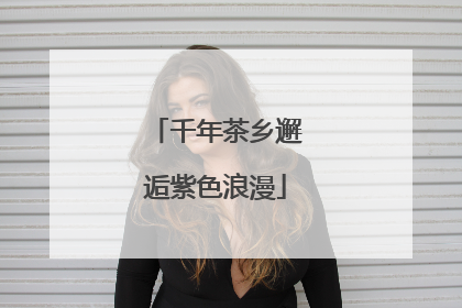 千年茶乡邂逅紫色浪漫