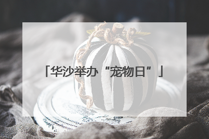 华沙举办“宠物日”