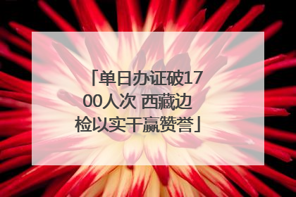 单日办证破1700人次 西藏边检以实干赢赞誉