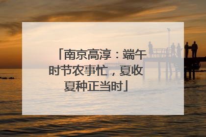 南京高淳：端午时节农事忙，夏收夏种正当时