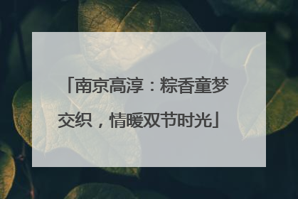 南京高淳：粽香童梦交织，情暖双节时光