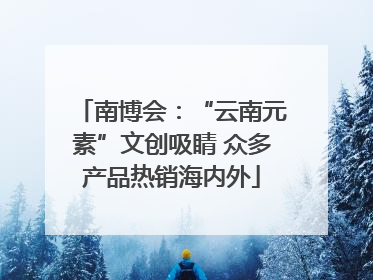 南博会：“云南元素”文创吸睛 众多产品热销海内外