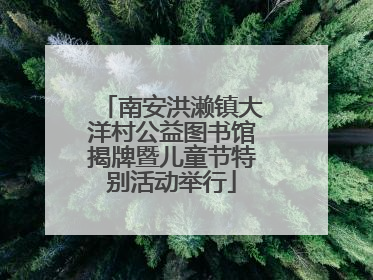 南安洪濑镇大洋村公益图书馆揭牌暨儿童节特别活动举行