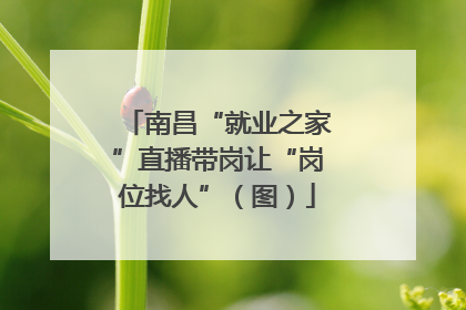 南昌“就业之家”直播带岗让“岗位找人”（图）
