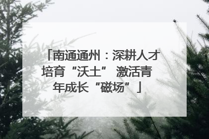 南通通州：深耕人才培育“沃土” 激活青年成长“磁场”